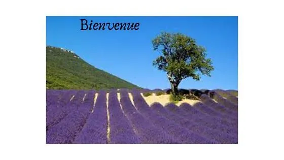 Les Villas De Valaurie Holiday home